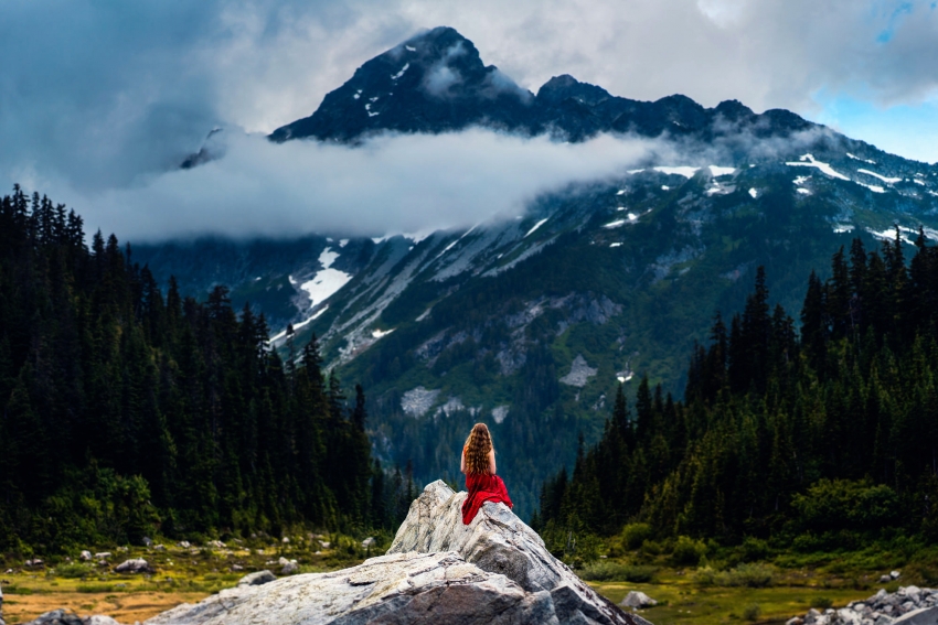 现代企业管理的新“三字经”——“韧”、“敏”、“人”